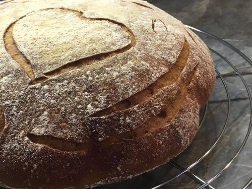 236 Jahre alte verifizierte authentische Heritage San Francisco Sauerteig Vorspeise - Bild 6 von 7