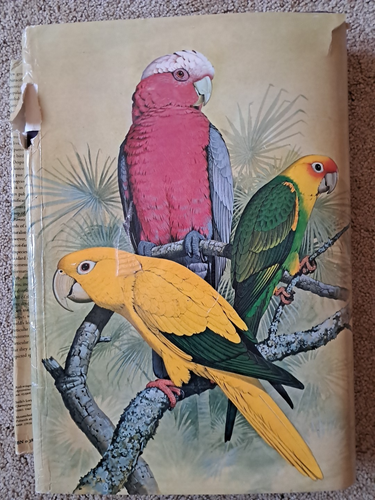 Parrots of the World by Joseph M. Forshaw 1973 HC/DJ - Picture 6 of 9