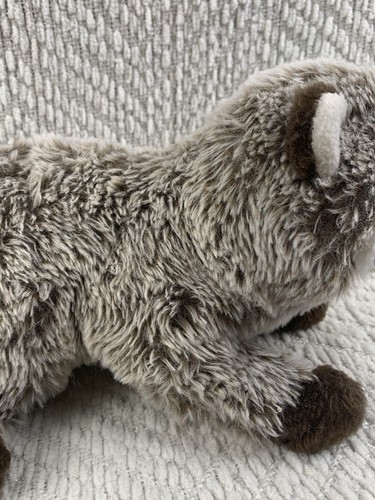 Douglas der Kuscheltier Waschbär Plüschtier 10 Zoll Stofftier 2021 weich EUC - Bild 4 von 13