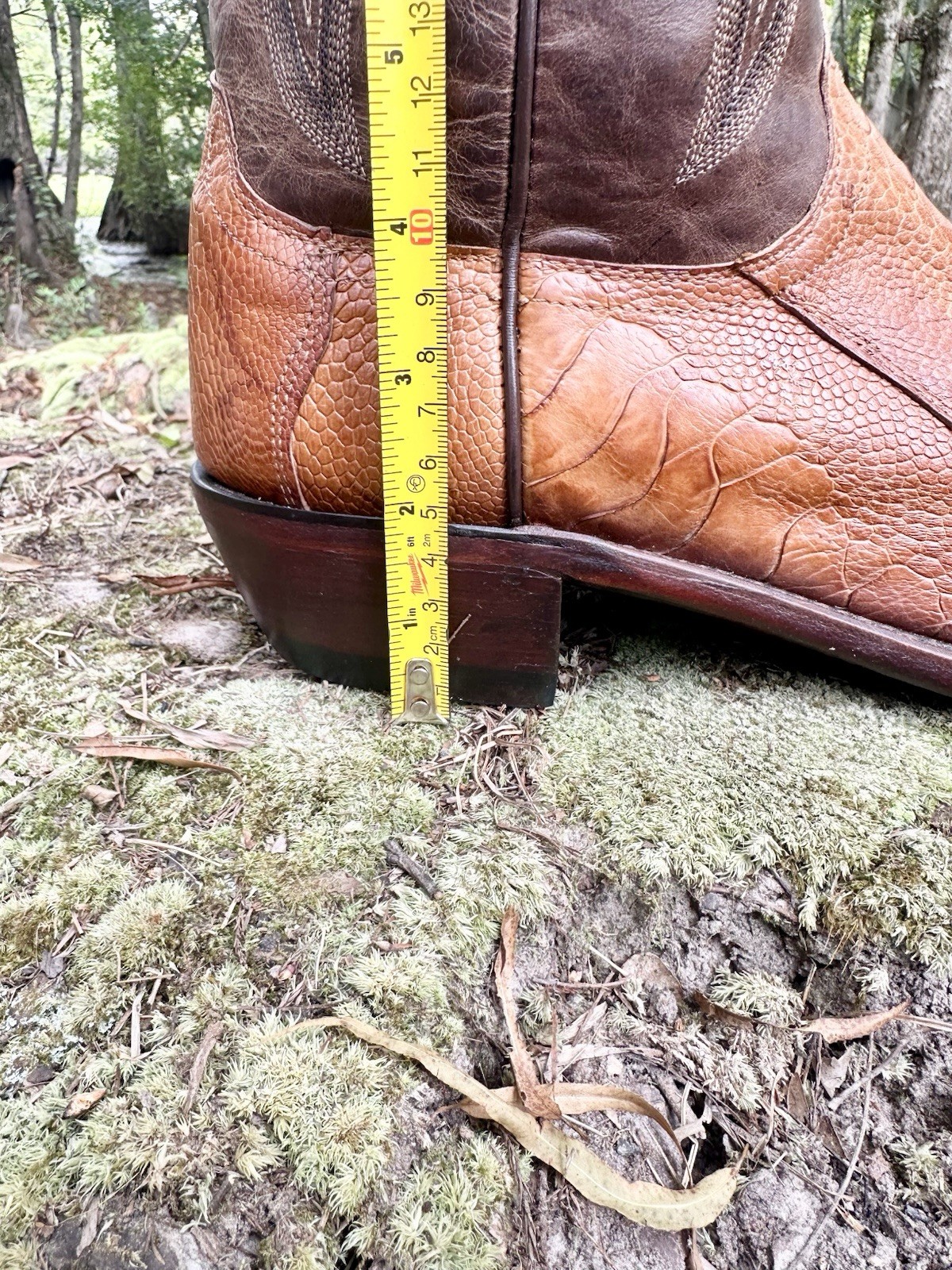Foto 10 di 22
