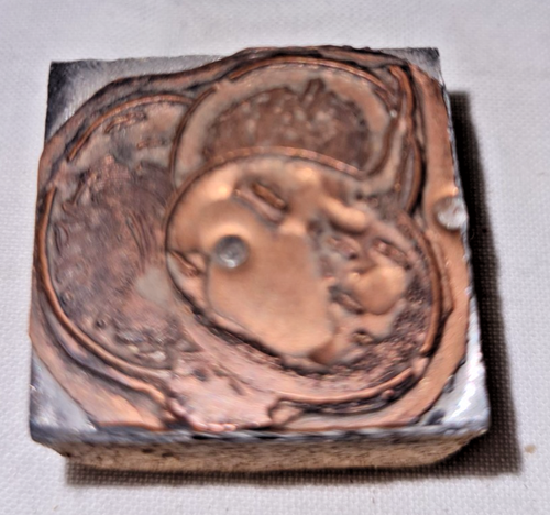 Vintage Printing Letterpress Printer Block Wood Metal Potatoes - Picture 3 of 4