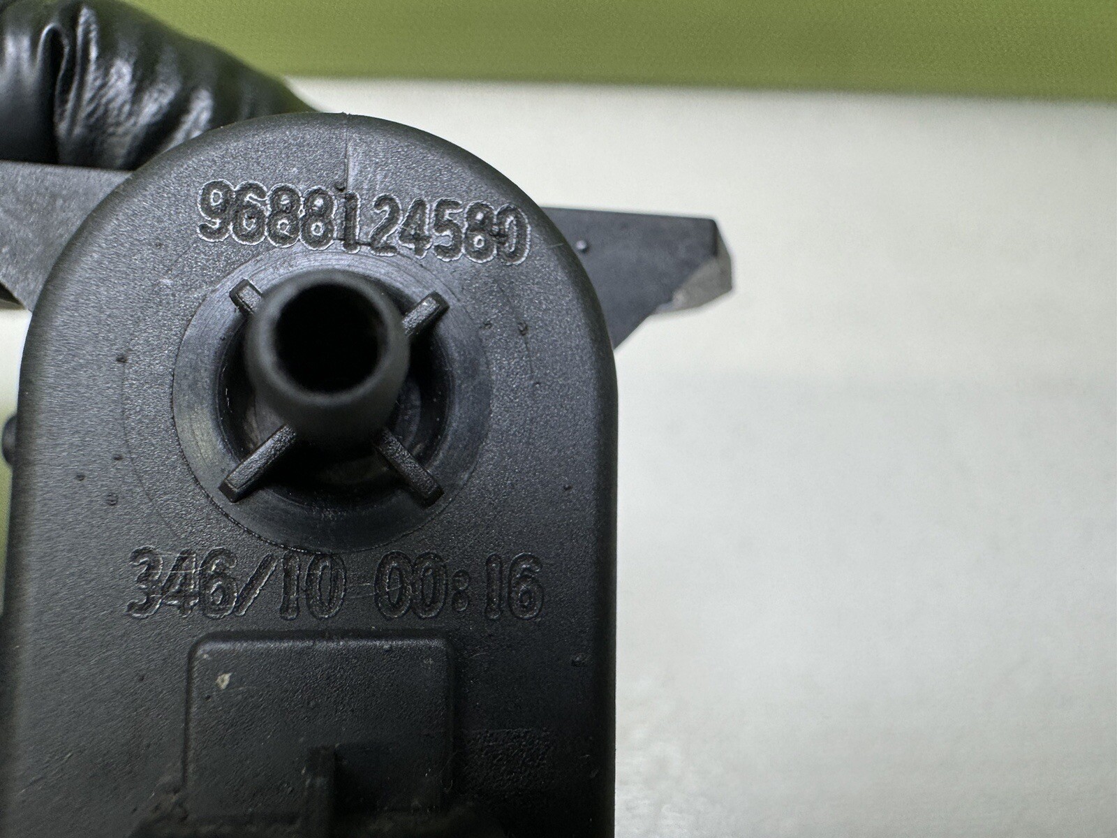 Picture 5 of 5