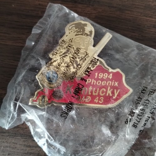 Prendedores del Club de Leones: 17 prendedores grandes vintage de Nuevo México raros Washington Kentucky - Imagen 15 de 24