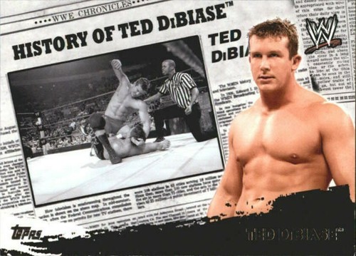 2010 Topps WWE Wrestling Base Cards - Puzzle Back Inserts - You Pick - FREE SHIP - Picture 67 of 94