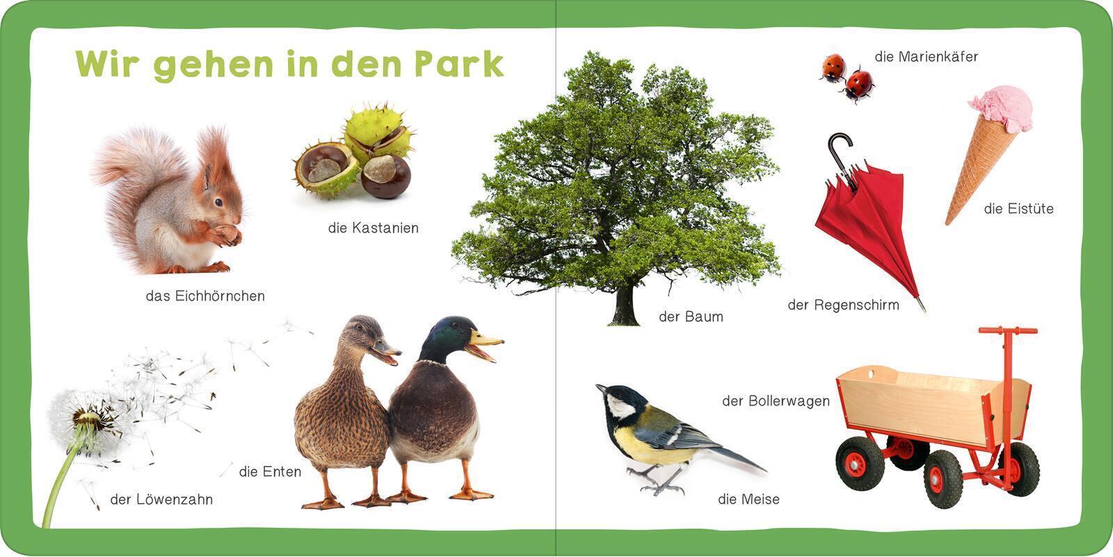Thumbnail - Meine Ersten 100 Wörter | Foto-wörterbuch | Buch | Pappebuch | 40 S. |