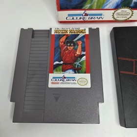 Flying Dragon: The Secret Scroll (Nintendo Entertainment System) Tested NES