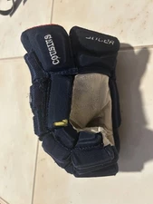 Nick Cousins Game Used Worn Glove Florida Panthers Stanley Cup Champion Senators