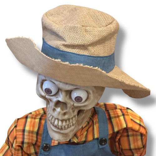 Duell Banjo Skelette Halloween animiert mit Box #1486918 Costco siehe Video - Bild 16 von 22