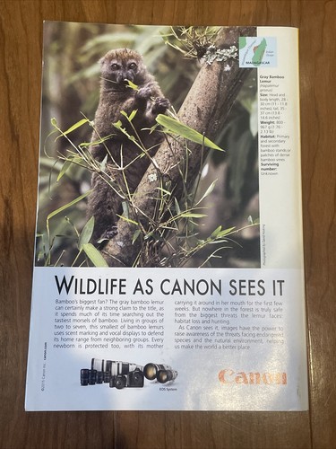 National Geographic A Smuggled Tusk, A Hidden GPS Chip, A Crime Story Sept 2015 - Picture 2 of 3