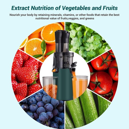 Compact Slow Juicer Machine Electric Juicer Cold Press Squeezer Vegetable 800ML - Picture 10 of 17