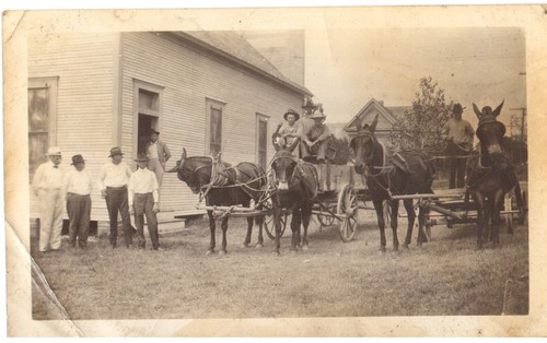 Vtg Horses Pulling a Horse drawn Carriage into town | Circa early 1900s - Picture 2 of 3