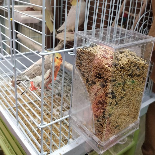 Auto Bird Feeder Cup No Mess Bowl Cage Automatic Feeding Canary Parrot Cockatiel - Picture 6 of 9