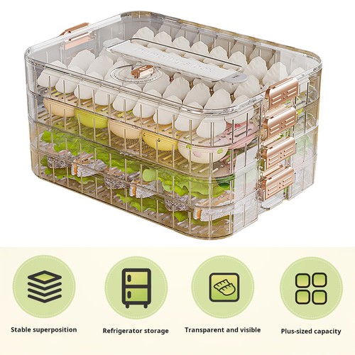 Multi-Layer Dumpling Storage Box With Kitchen Refrigerator Food Keeping Containe - Picture 12 of 16