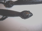 Picture 5 of 6