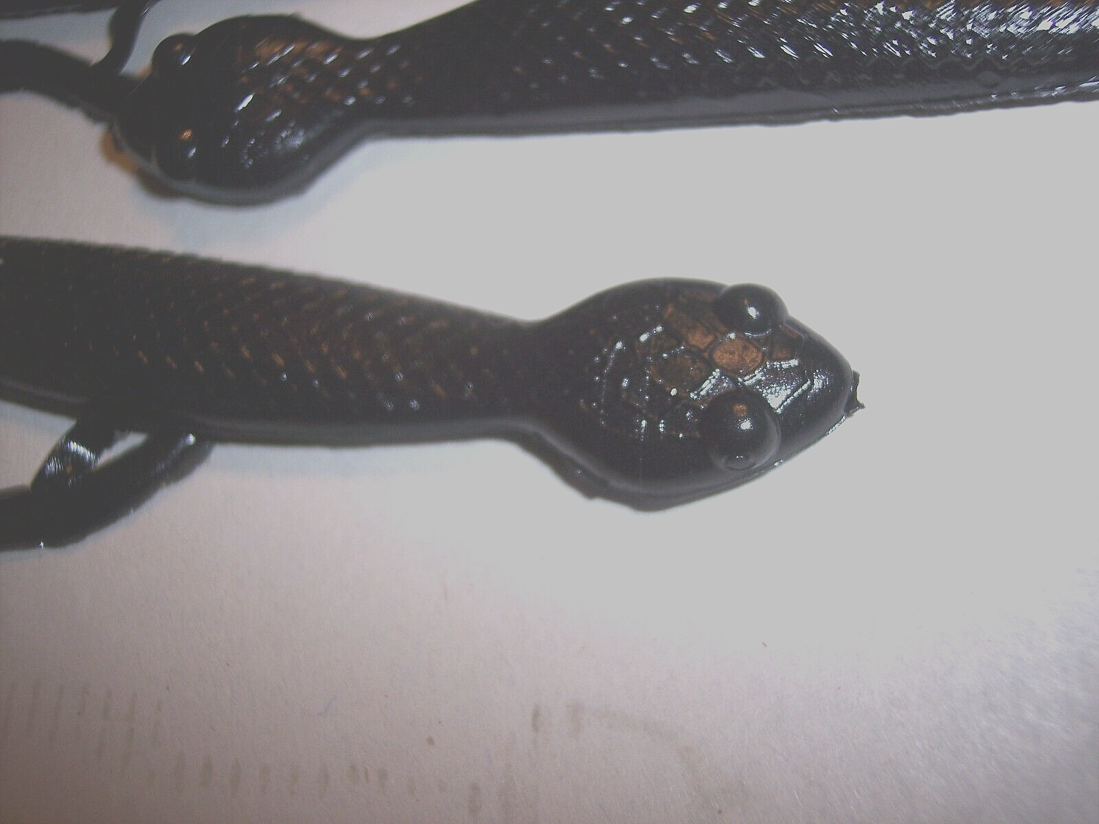 Picture 5 of 6