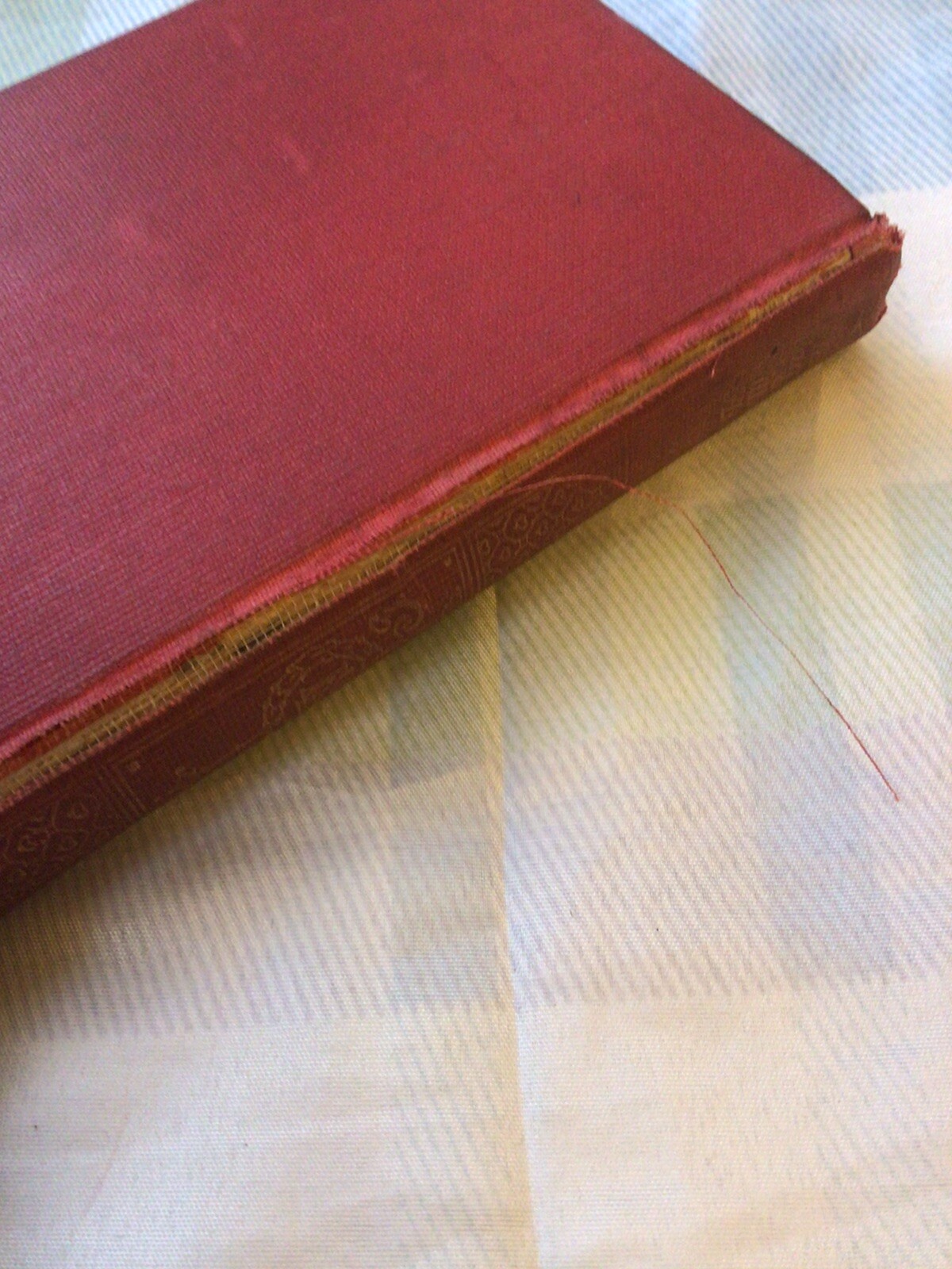 Picture 4 of 4