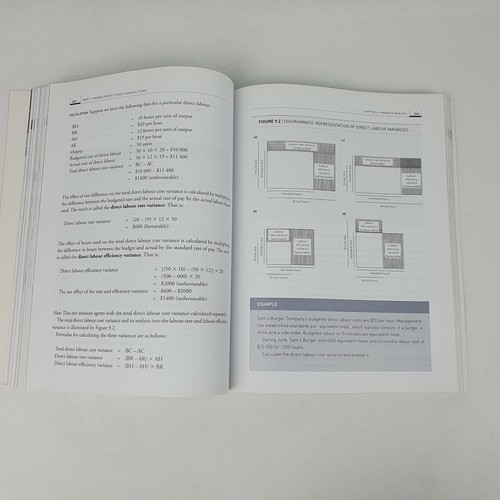 Manage Budgets and Financial Plans by Al Aseervatham, Howard Reid, Ana Anandaraj - Picture 6 of 8
