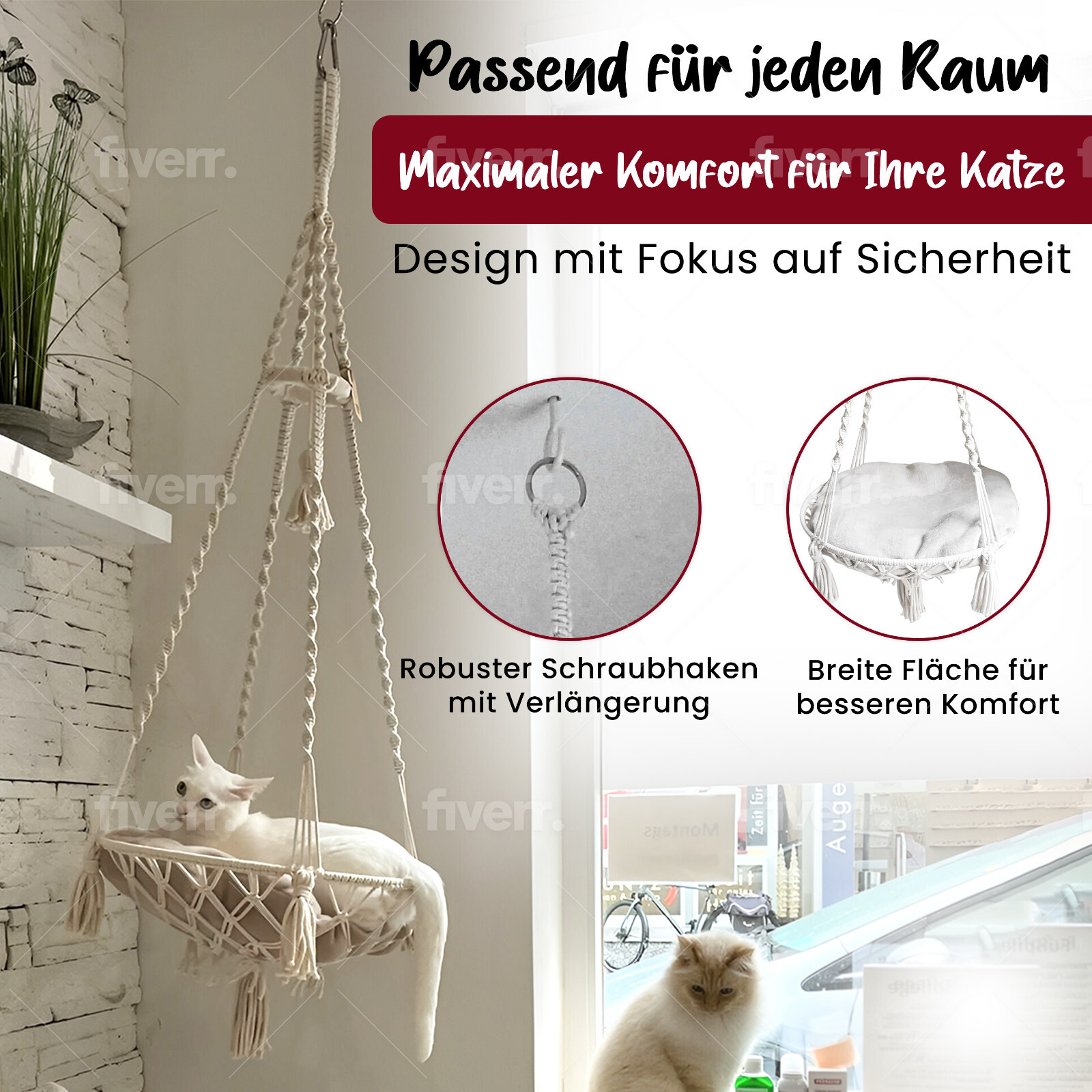 Bild 3 von 6