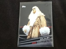 2018 Topps Wwe Evolution Goldust #E17