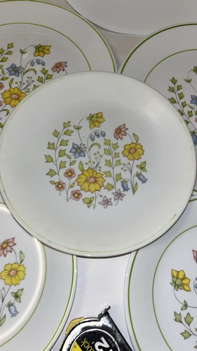 Lot Of 9 Corelle Spring Meadow Plates - (3) 10” (6) 8” Plates - Picture 6 of 10