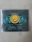 Gold Layered Indian Cent from the 1800's - 1899 Indian Head Cent in Plastic Case