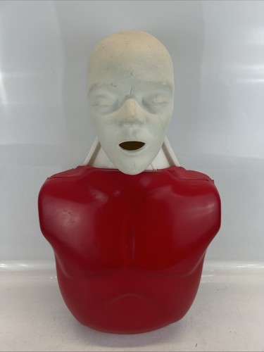 Lifeform Nasco Basic Buddy HLW Training Erwachsene Dummy Schaufensterpuppe Training - Bild 1 von 10