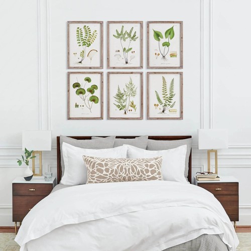 Juego de arte de pared botánico vintage Cottagecore - helechos, juego de 6 - Imagen 9 de 18