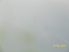 Bild 8 von 12