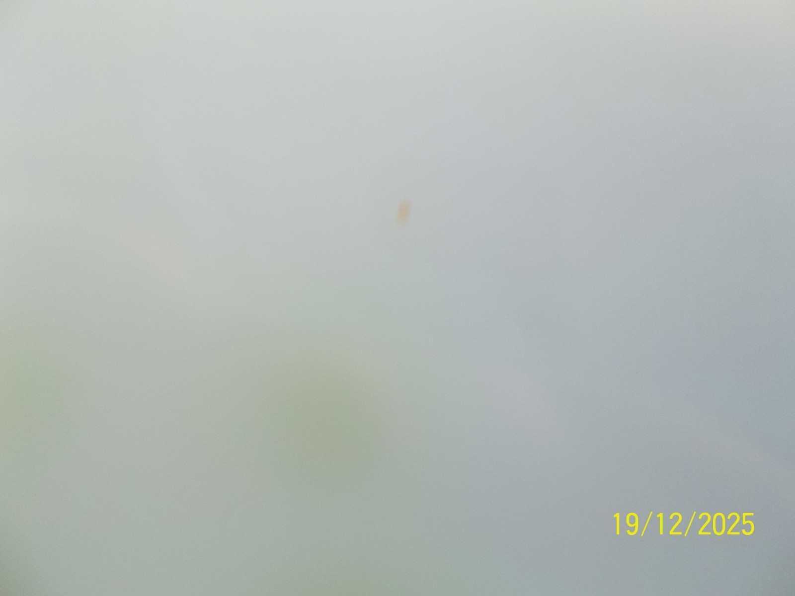 Bild 8 von 12