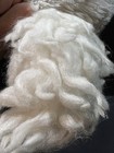 Bild 9 von 11