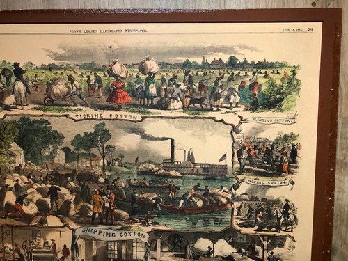 Cotton Industry Engraving Frank Leslie's Illustrated Newspaper 1862 hand colored - Picture 3 of 7