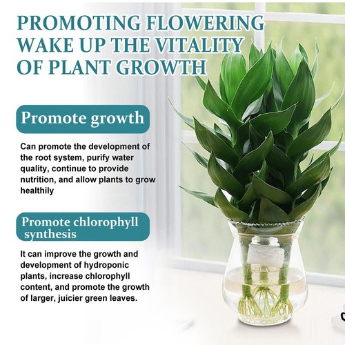 Hydroponic Plant Nutrient Solution 3.38fl.oz Plant Nutrient Liquid Promote Plant - Picture 6 of 8