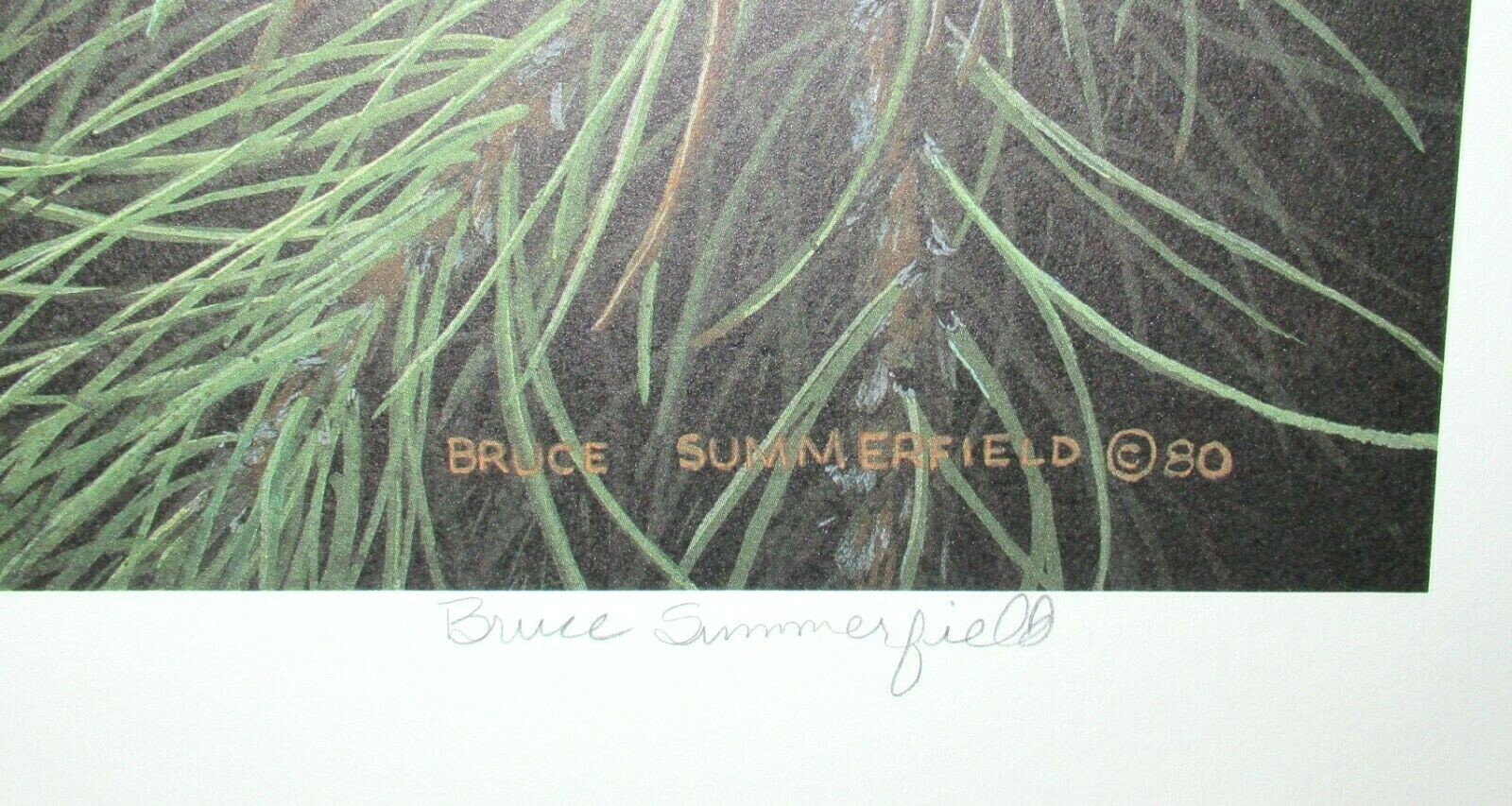 BRUCE SUMMERFIELD FOX HEAD LIMITED EDITION COLOR LITHOGRAPH eBay