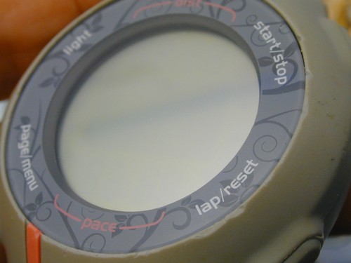 GARMIN FORERUNNER 110 COME DA RITROVAMENTO, DISPLAY NON GRAFFIATO PER RICAMBI NON MOLESTATO - Foto 3 di 5