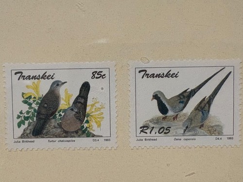 Transkei Doves 1993 FDC first day cover Birds Butterworth postmark Post history - Picture 4 of 5