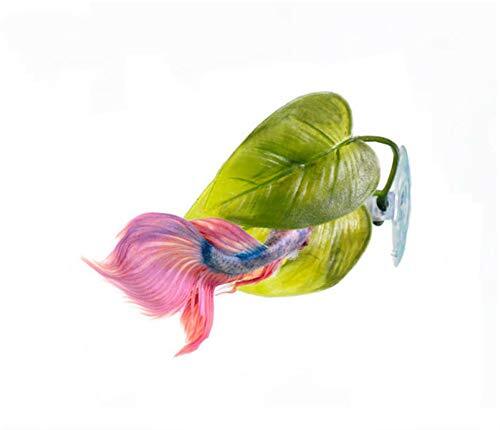 3 Pack Betta Fish Hammock Plant Leaf Pad Fish Spawning Grounds Breeding - Picture 4 of 6