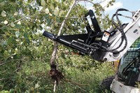 Skid Steer Tree Pullers