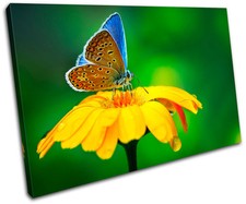 Butterfly Flowers Animals SINGLE CANVAS WALL ART Picture Print VA