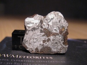 Zagora-IAB-Ungrouped-Silicated-Iron-Found-1987-And-recognized-by-A-Carion