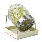 Sprossenglas Keimglas Keimsprossenglas Sprossenkeimglas Anzuchtglas Sprossen WOW