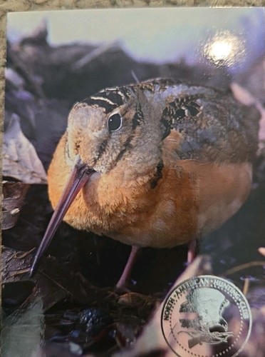 Moneda de colección de plata de pájaro de juego de tierras altas NAHC de América del Norte a prueba - Imagen 4 de 7