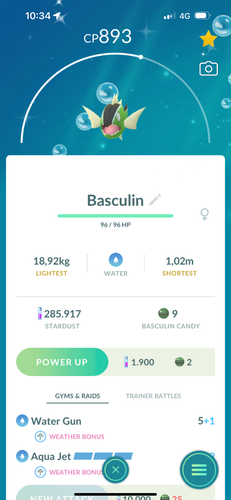 Basculin lucido (righe bianche) maschio/femmina - mini P T C - Foto 3 di 3