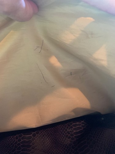 The Essential Satchel Faux Snake with 4 Removable Attachments 16" x 10.5" x 6" - Picture 12 of 12