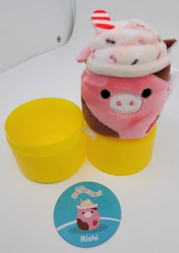 Squishmallows ¡Nuevo! *Envío Gratis* - Imagen 228 de 335