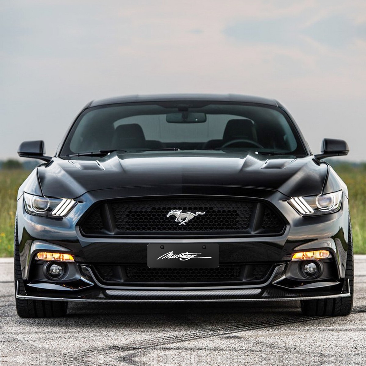 Ford Mustang Front Plate - Etsy