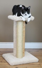 TRIPLE CAT SCRATCHER - FREE SHIPPING IN THE UNITED STATES 