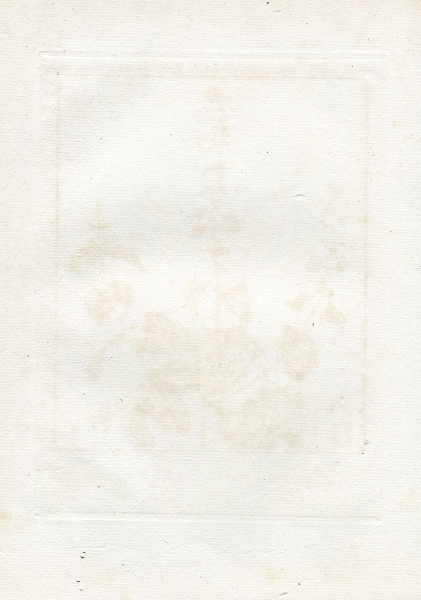Picture 2 of 2