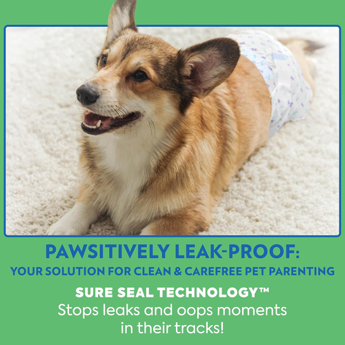 Pet Care Disposable Male Dog Diapers | Absorbent Male Wraps with Leak Proo - Picture 7 of 12