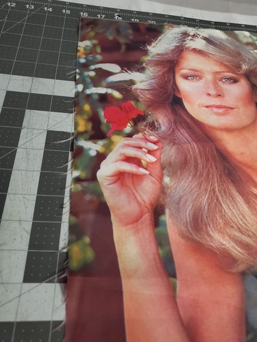 Vintage Farrah Fawcett Stoff für Foto - Kissen - Poster - ca. 23" x 17-1/2" - Bild 5 von 5