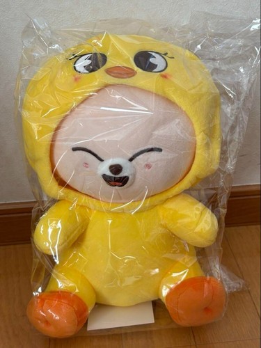 Stray Kids Fan Connecting 2024 SKZ TOY WORLD Foxl.Ny & BbokAri Plush Doll Set - Picture 5 of 7